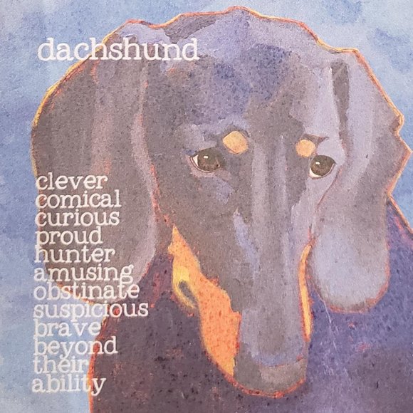 Absorbent Stone Coasters - Dachsund - Picture 1 of 2
